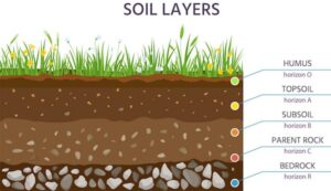 How to Calculate How Much Topsoil You Need | House & Home Ideas