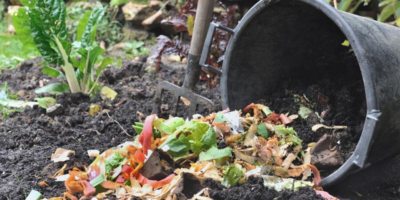 What can you compost?