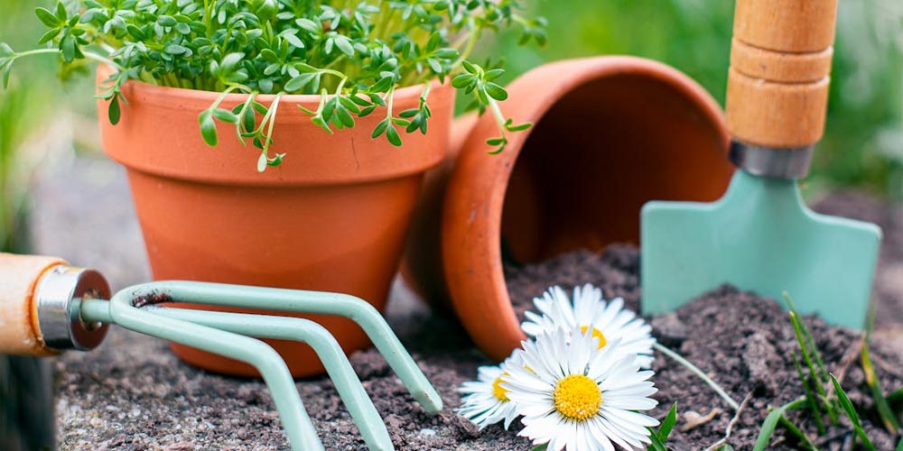 Gardening